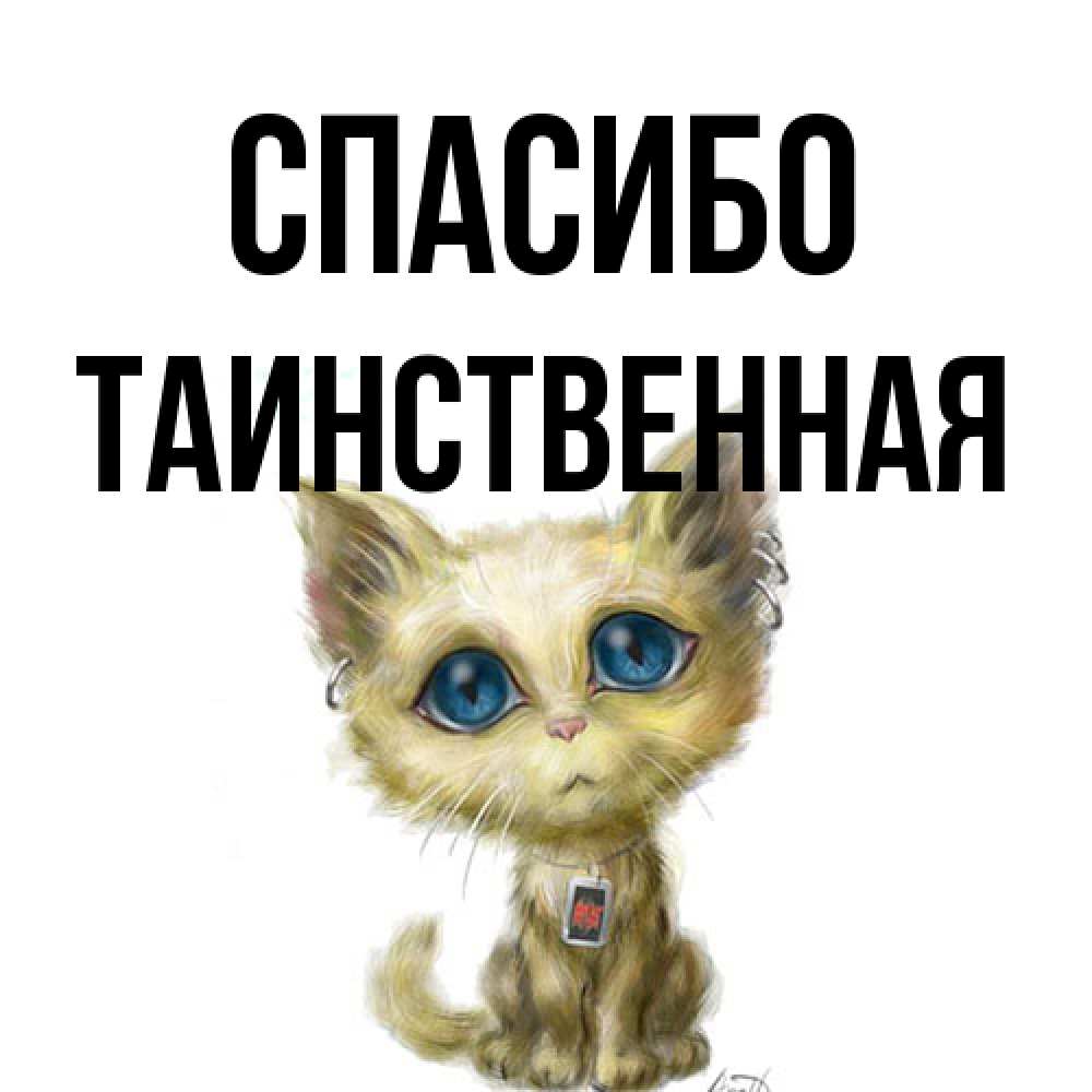 Открытка на каждый день с именем, таинственная Спасибо рисованный кот благодарит вас Прикольная открытка с пожеланием онлайн скачать бесплатно 