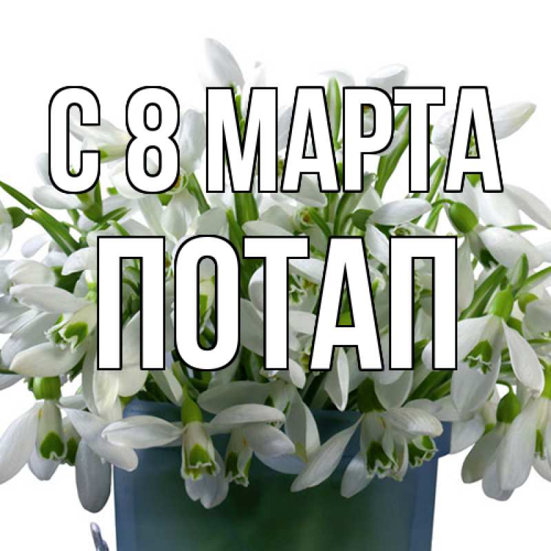 Картинка C 8 МАРТА, Потап