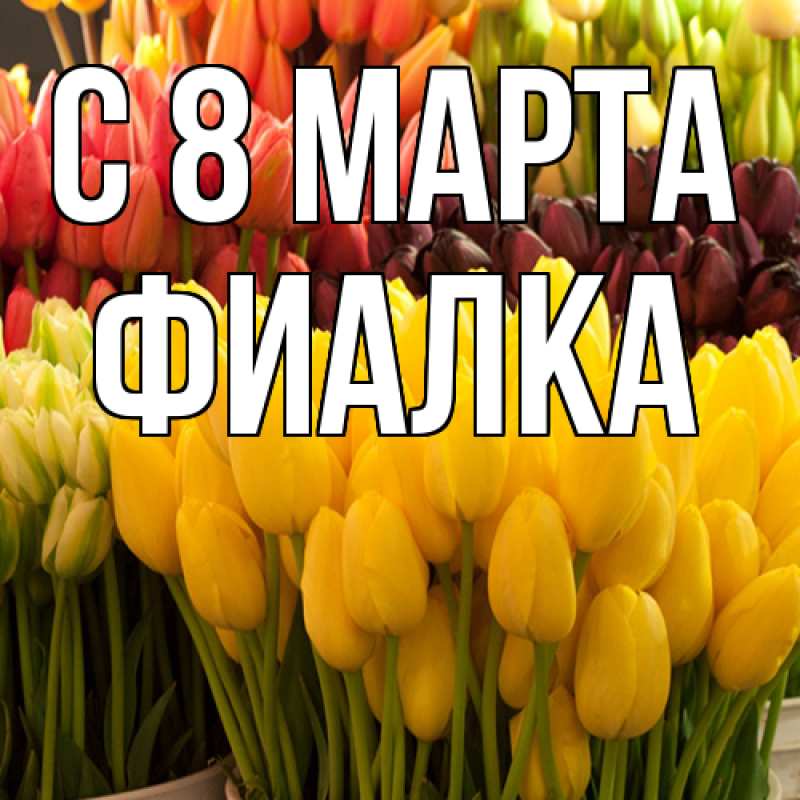 Картинка C 8 МАРТА, Фиалка