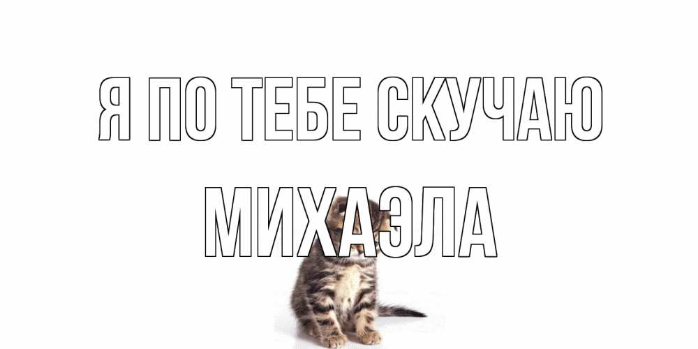Открытка на каждый день с именем, Михаэла Я по тебе скучаю кот Прикольная открытка с пожеланием онлайн скачать бесплатно 