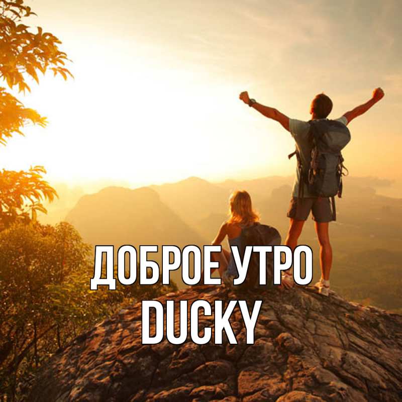 Картинка Доброе утро, Ducky