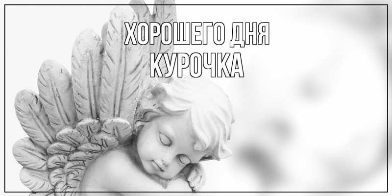 Картинка Хорошего дня, Курочка