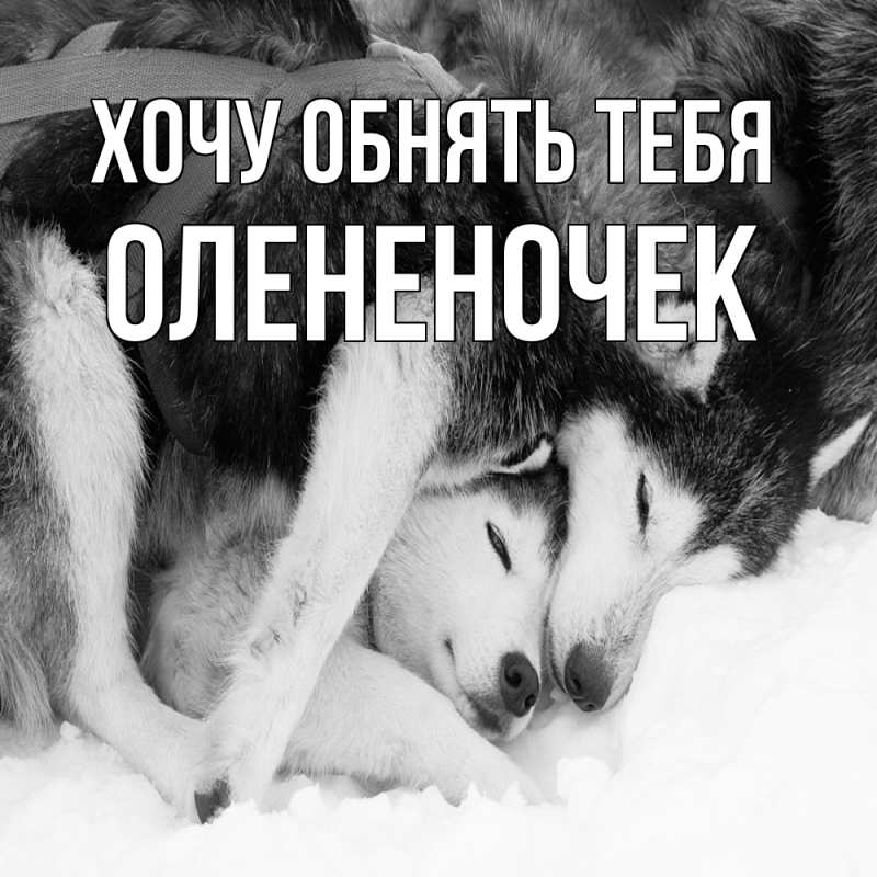 Картинка Хочу обнять тебя, Олененочек