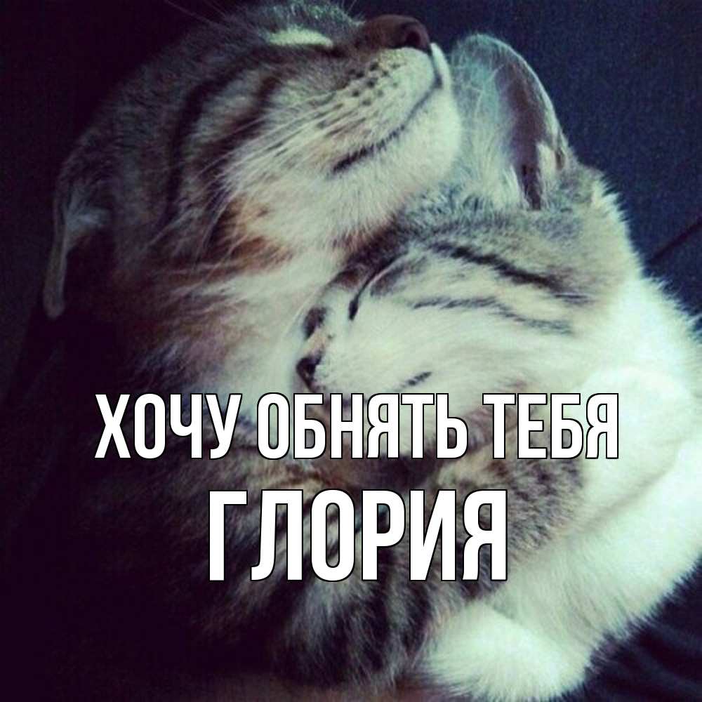 Открытка на каждый день с именем, Глория Хочу обнять тебя полосатики Прикольная открытка с пожеланием онлайн скачать бесплатно 