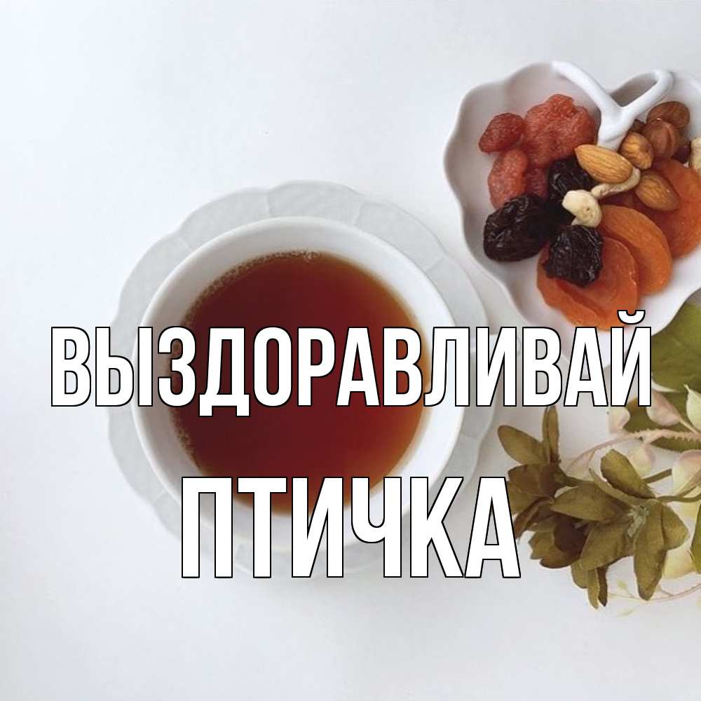 Открытка на каждый день с именем, Птичка Выздоравливай неизвестные растения Прикольная открытка с пожеланием онлайн скачать бесплатно 