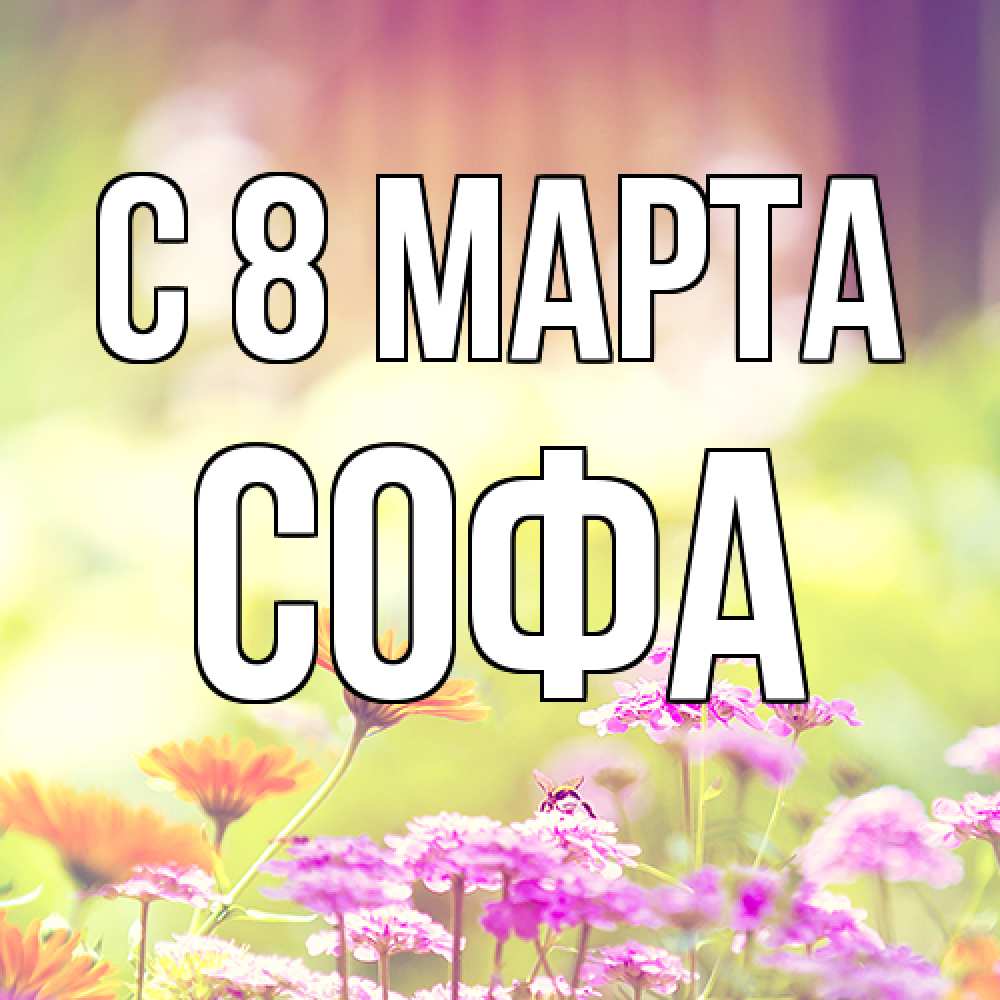 Открытка на каждый день с именем, Софа C 8 МАРТА цветы весна Прикольная открытка с пожеланием онлайн скачать бесплатно 