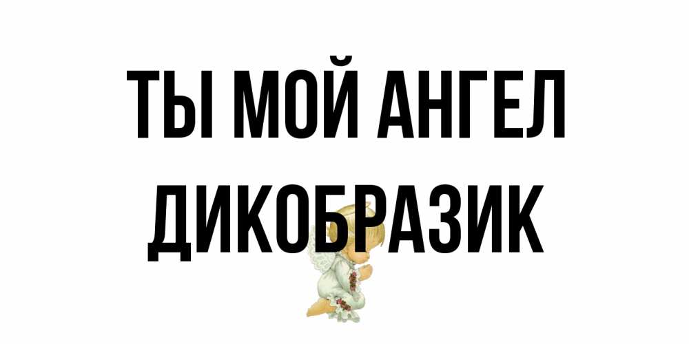 Открытка на каждый день с именем, дикобразик Ты мой ангел ангел Прикольная открытка с пожеланием онлайн скачать бесплатно 