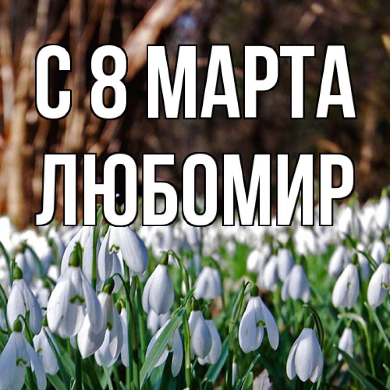 Картинка C 8 МАРТА, Любомир