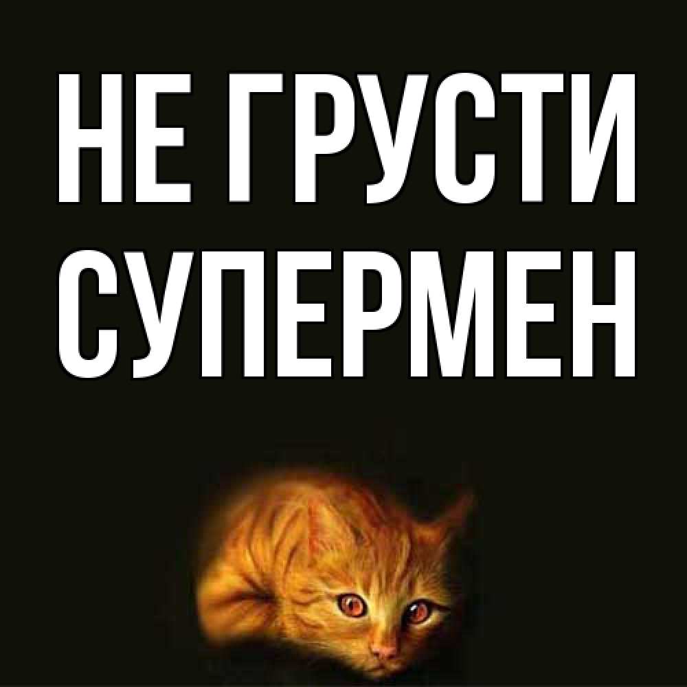 Открытка на каждый день с именем, Супермен Не грусти лежащий кот в темноте Прикольная открытка с пожеланием онлайн скачать бесплатно 