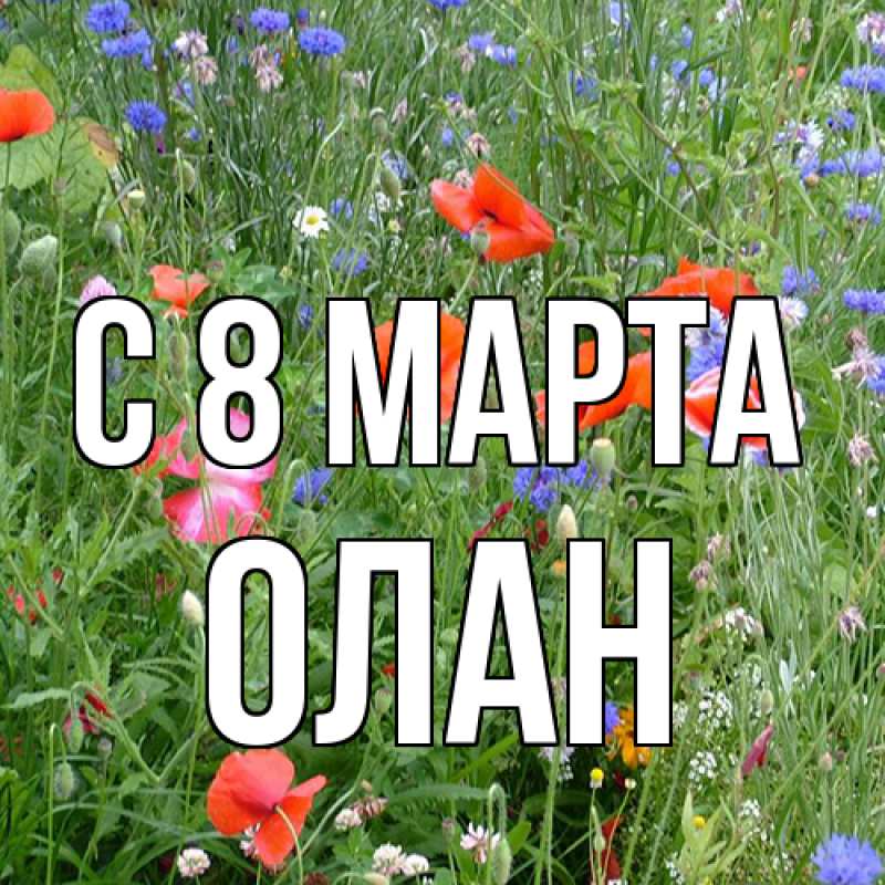 Картинка C 8 МАРТА, Олан