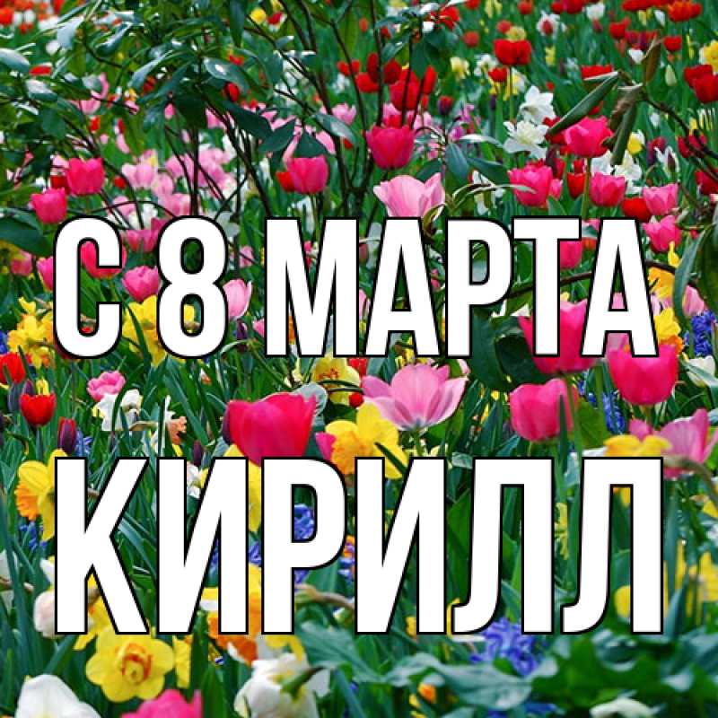 Картинка C 8 МАРТА, Кирилл