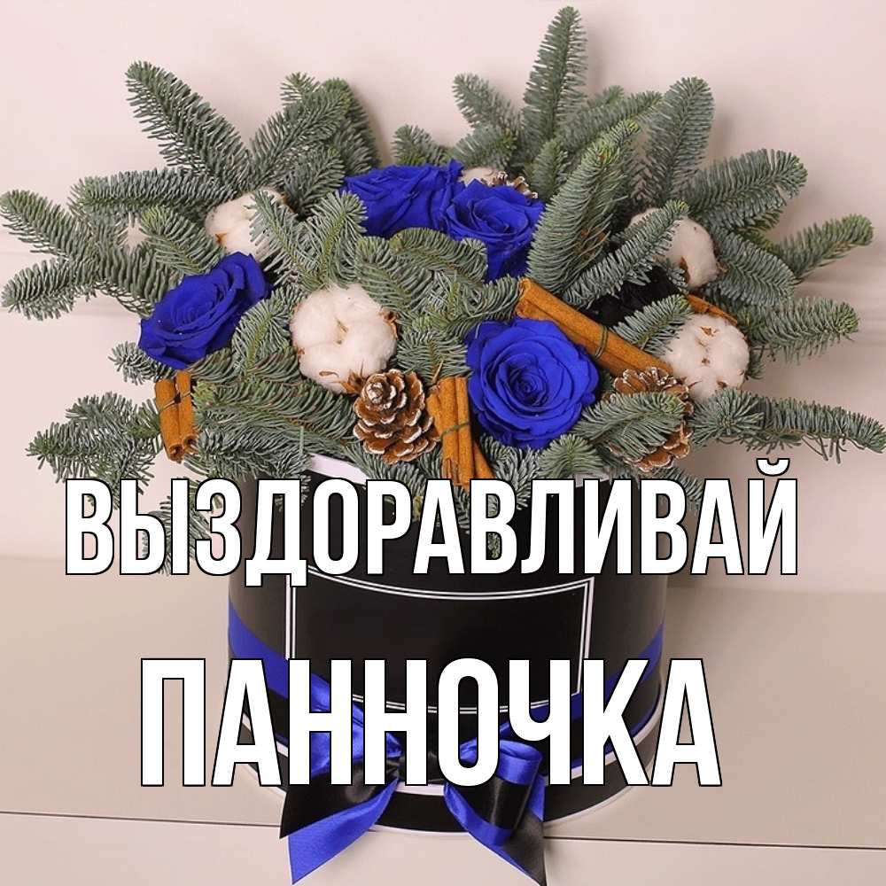 Открытка на каждый день с именем, Панночка Выздоравливай короче кто то загрузил эти шишки Прикольная открытка с пожеланием онлайн скачать бесплатно 