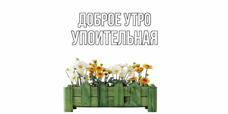 Картинка Доброе утро, Упоительная