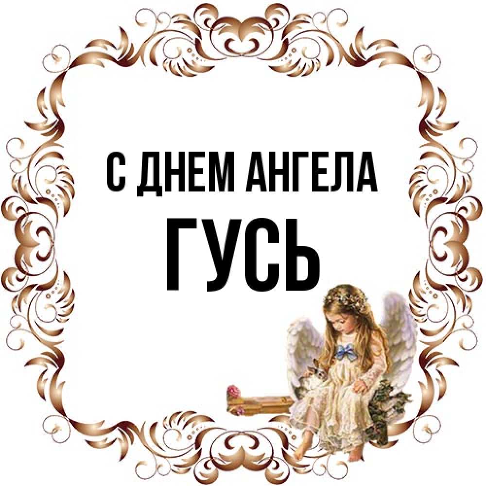 Открытка на каждый день с именем, Гусь С днем ангела рамочка из перьев и ангелочек Прикольная открытка с пожеланием онлайн скачать бесплатно 