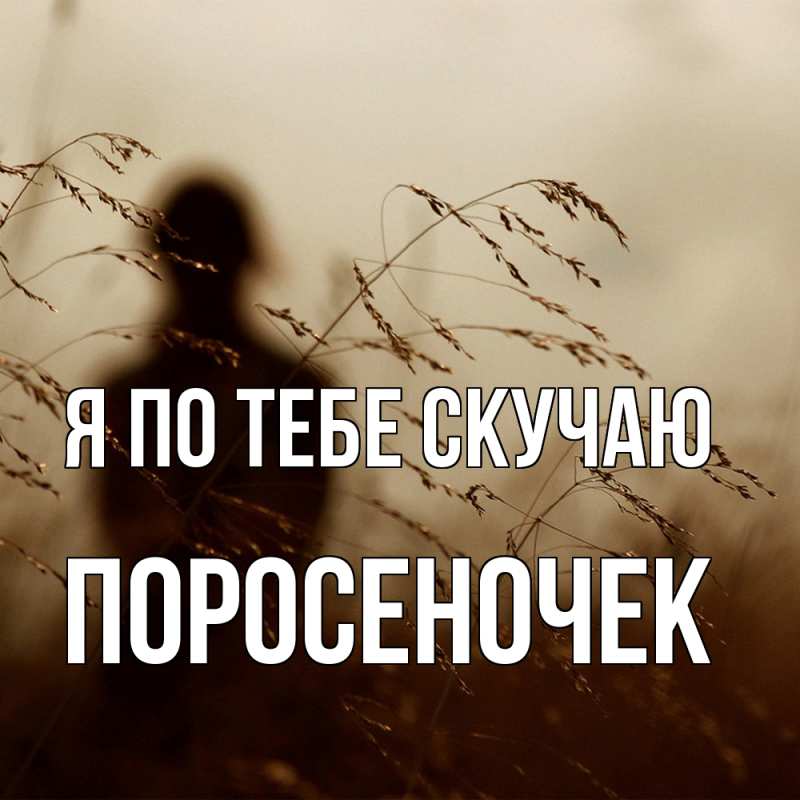 Картинка Я по тебе скучаю, поросеночек