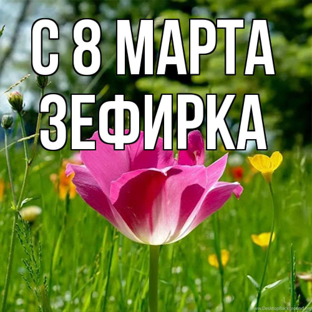 Открытка на каждый день с именем, зефирка C 8 МАРТА полевые цветы Прикольная открытка с пожеланием онлайн скачать бесплатно 