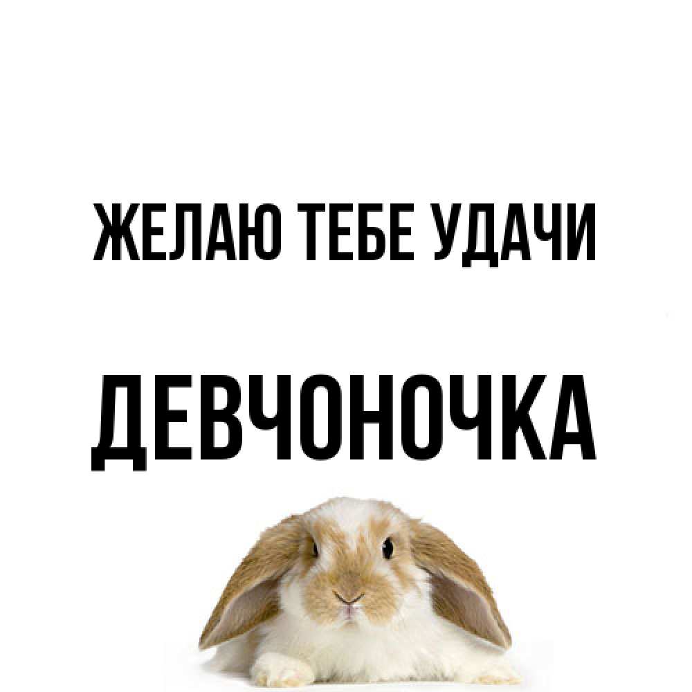 Открытка на каждый день с именем, девчоночка Желаю тебе удачи открытки с произвольным текстом который можно вставить в открытку и создать ее самостоятельно бесплатно онлайн Прикольная открытка с пожеланием онлайн скачать бесплатно 