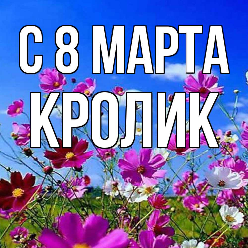 Открытка на каждый день с именем, кролик C 8 МАРТА цветы Прикольная открытка с пожеланием онлайн скачать бесплатно 