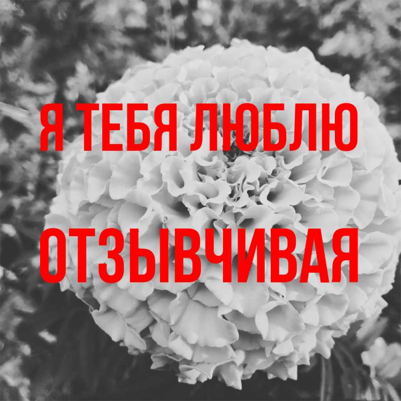 Картинка Я тебя люблю, Отзывчивая