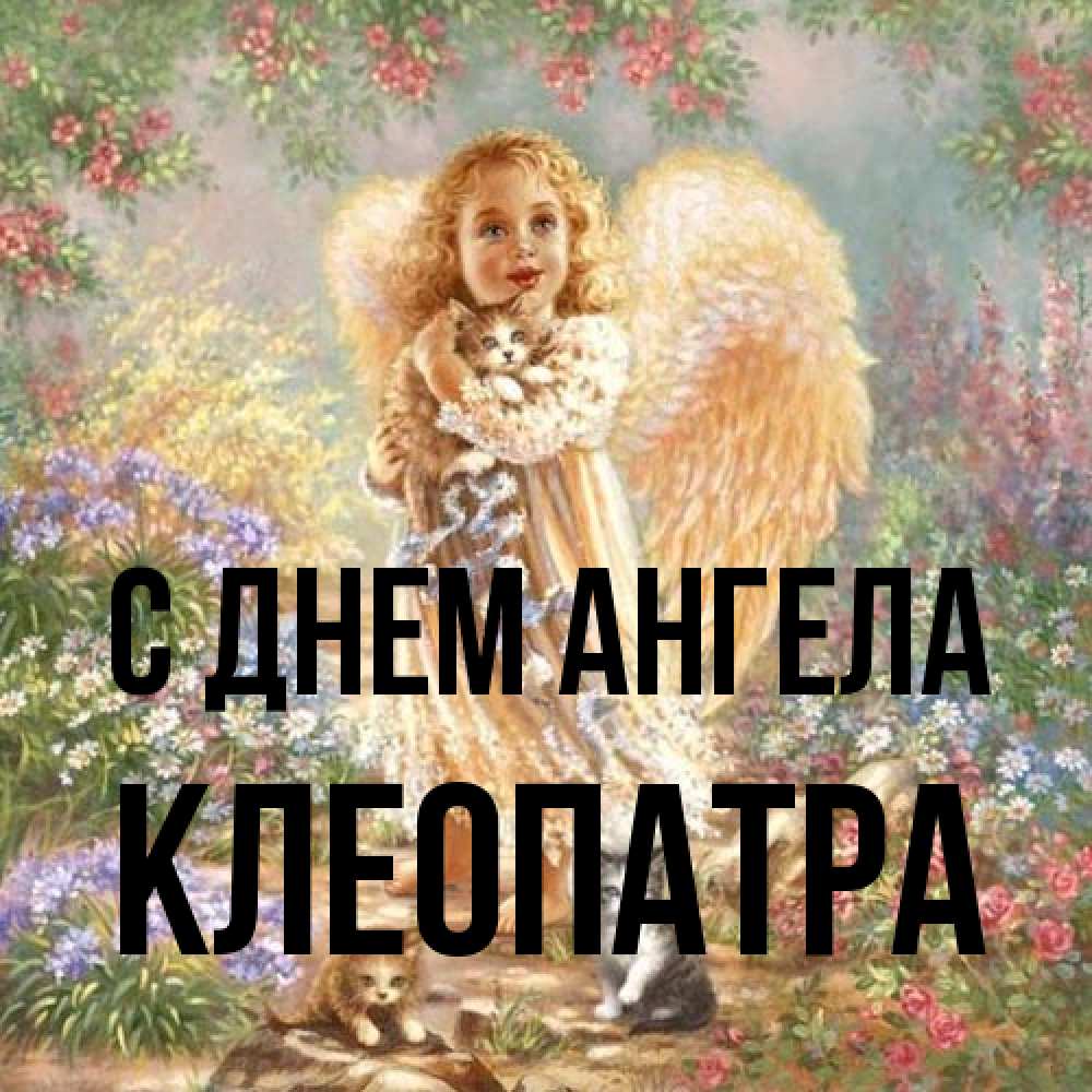 Открытка на каждый день с именем, Клеопатра С днем ангела держит котенка Прикольная открытка с пожеланием онлайн скачать бесплатно 