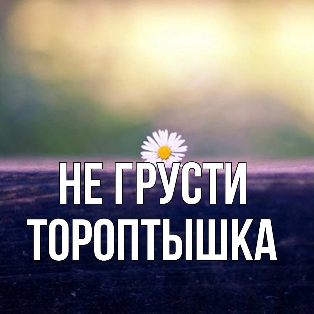 Открытка на каждый день с именем, Тороптышка Не грусти красота Прикольная открытка с пожеланием онлайн скачать бесплатно 