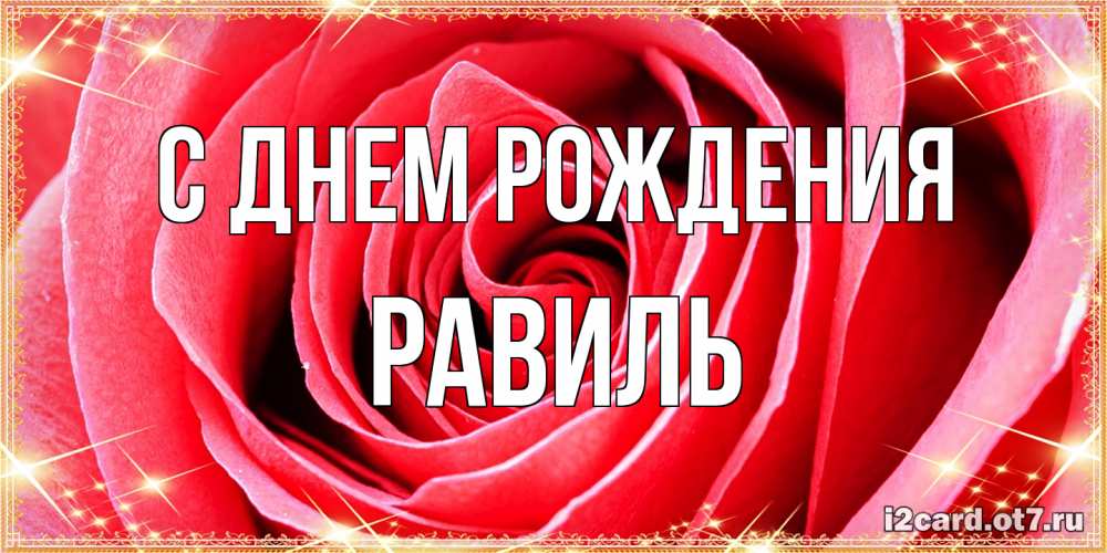 Открытка на каждый день с именем, Равиль С днем рождения розовая роза очень крупный бутон Прикольная открытка с пожеланием онлайн скачать бесплатно 