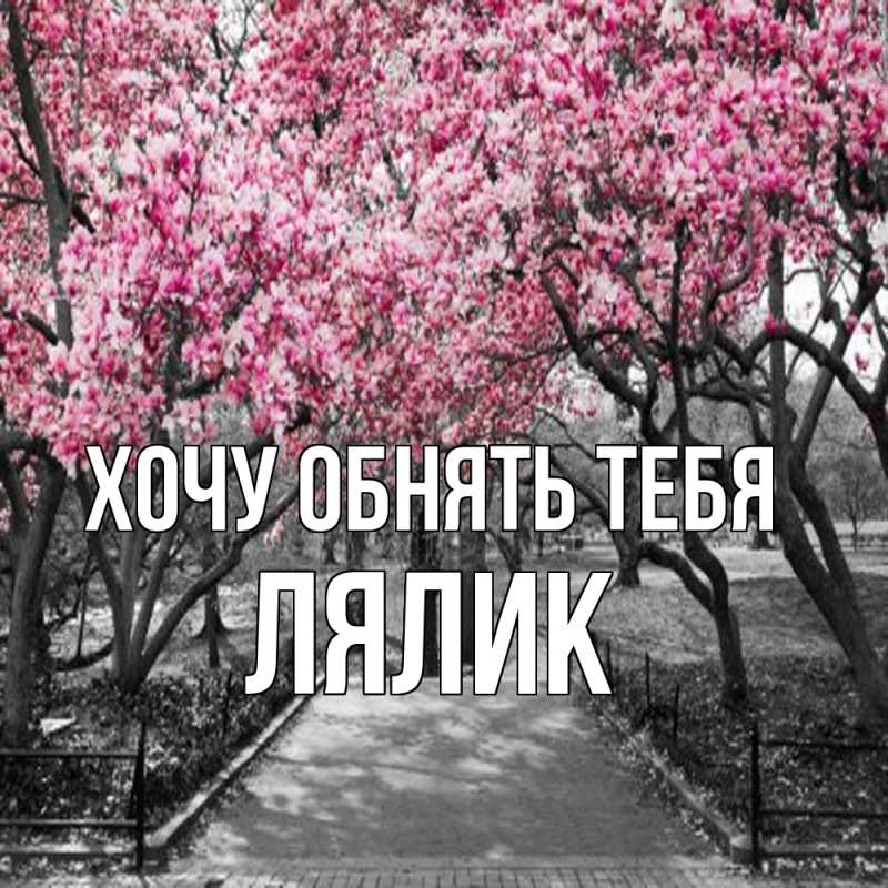 Картинка Хочу обнять тебя, Лялик