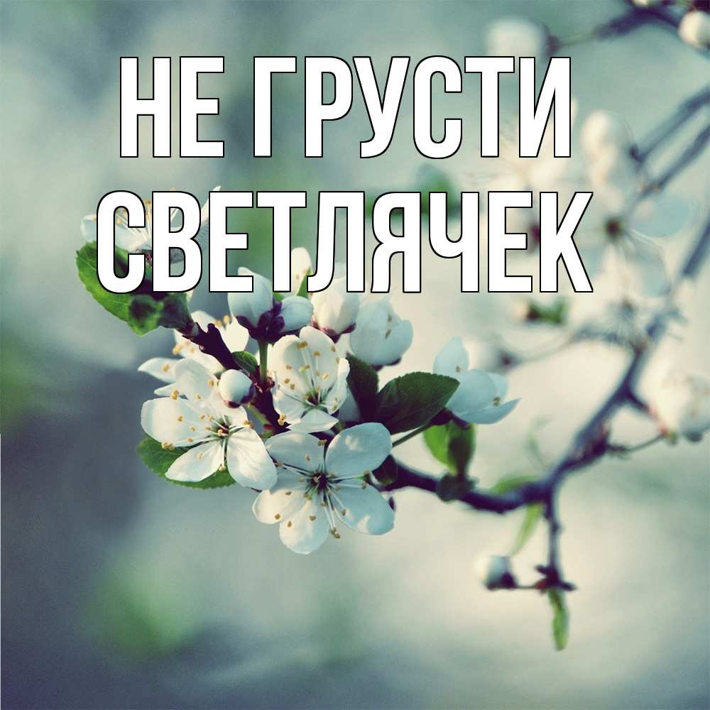 Открытка на каждый день с именем, Светлячек Не грусти яблоня в цвету 1 Прикольная открытка с пожеланием онлайн скачать бесплатно 