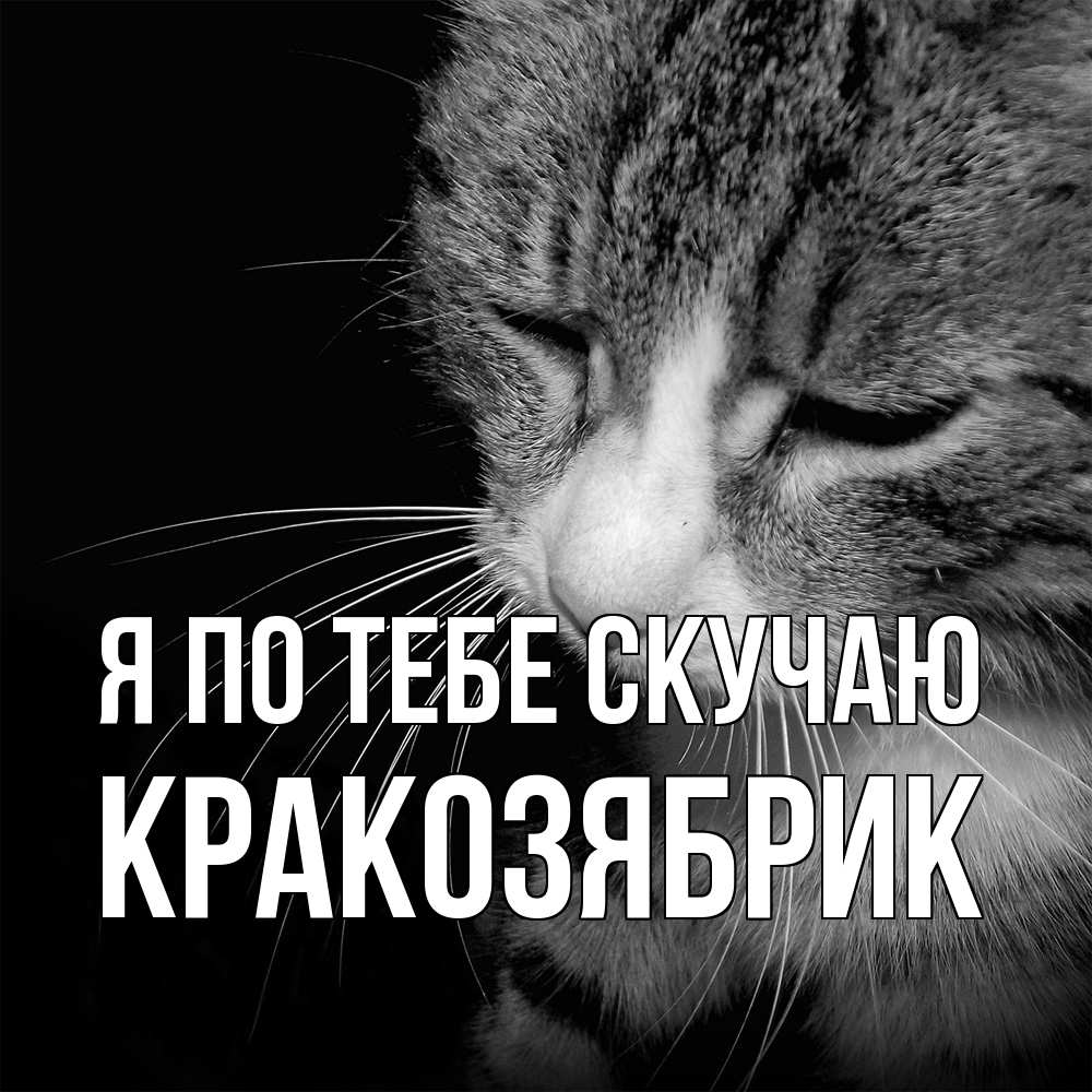 Открытка на каждый день с именем, Кракозябрик Я по тебе скучаю мне скучно Прикольная открытка с пожеланием онлайн скачать бесплатно 