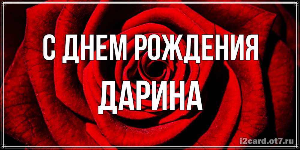Открытка на каждый день с именем, Дарина С днем рождения алая роза Прикольная открытка с пожеланием онлайн скачать бесплатно 
