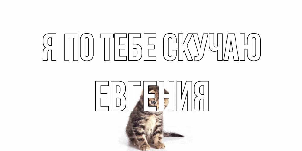 Открытка на каждый день с именем, Евгения Я по тебе скучаю кот Прикольная открытка с пожеланием онлайн скачать бесплатно 