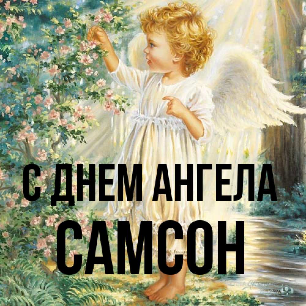 Открытка на каждый день с именем, Самсон С днем ангела собирает цветы Прикольная открытка с пожеланием онлайн скачать бесплатно 