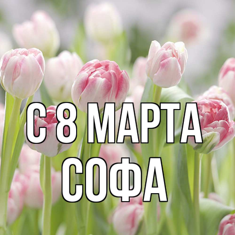 Открытка на каждый день с именем, Софа C 8 МАРТА цветы Прикольная открытка с пожеланием онлайн скачать бесплатно 