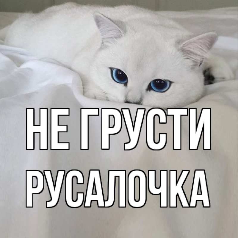 Картинка Не грусти, Русалочка