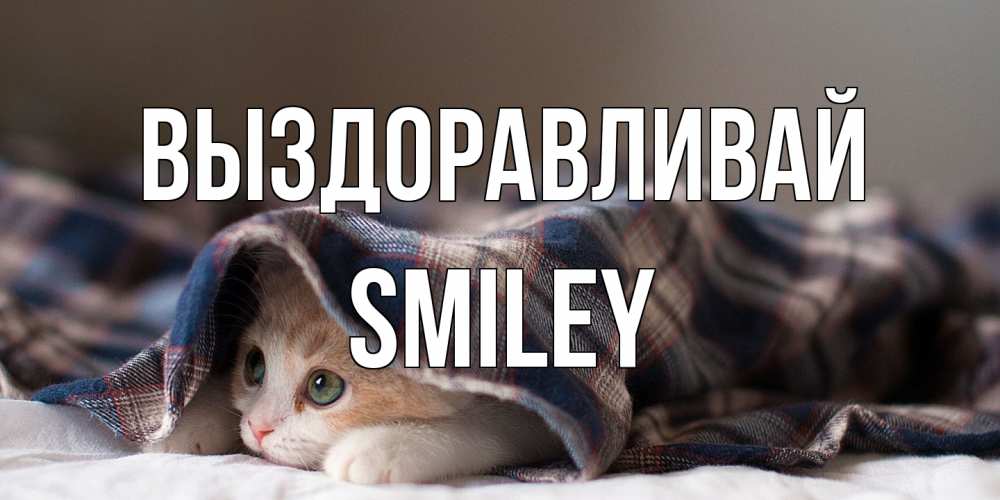 Открытка на каждый день с именем, Smiley Выздоравливай не болейте с котиком Прикольная открытка с пожеланием онлайн скачать бесплатно 