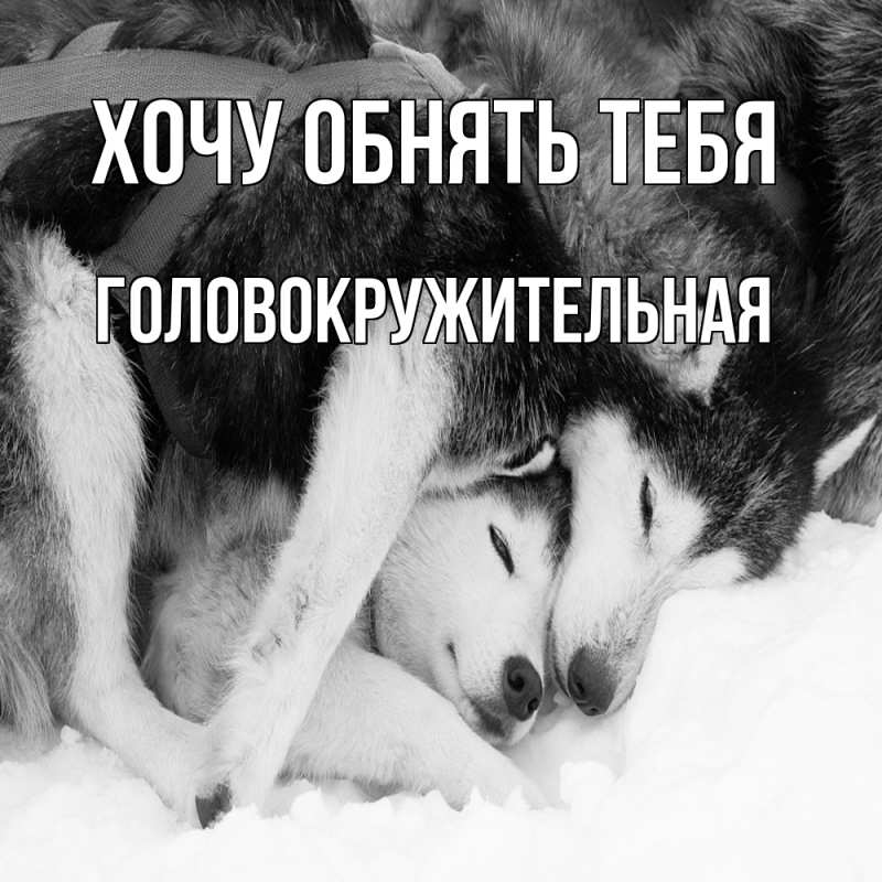 Картинка Хочу обнять тебя, Головокружительная