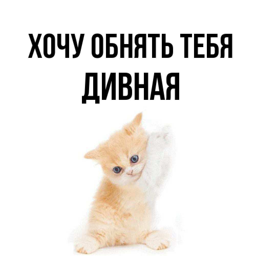 Открытка на каждый день с именем, дивная Хочу обнять тебя я хочу очень скорее обнимаешек Прикольная открытка с пожеланием онлайн скачать бесплатно 