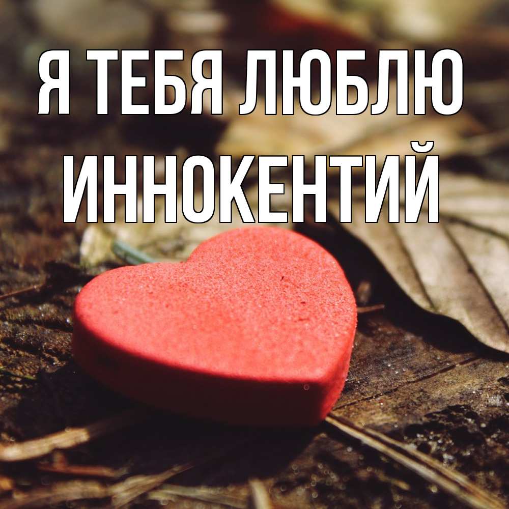 Открытка на каждый день с именем, Иннокентий Я тебя люблю листья деревье 4 Прикольная открытка с пожеланием онлайн скачать бесплатно 