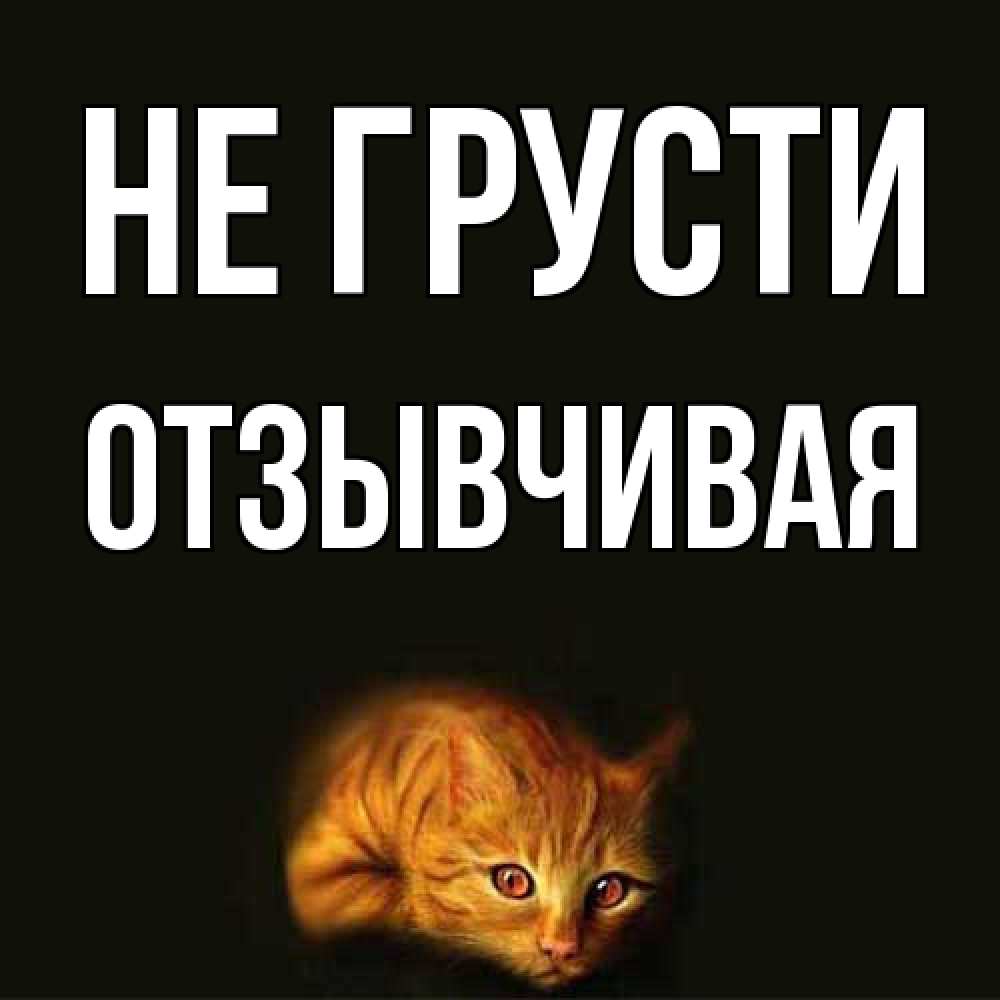 Открытка на каждый день с именем, Отзывчивая Не грусти лежащий кот в темноте Прикольная открытка с пожеланием онлайн скачать бесплатно 