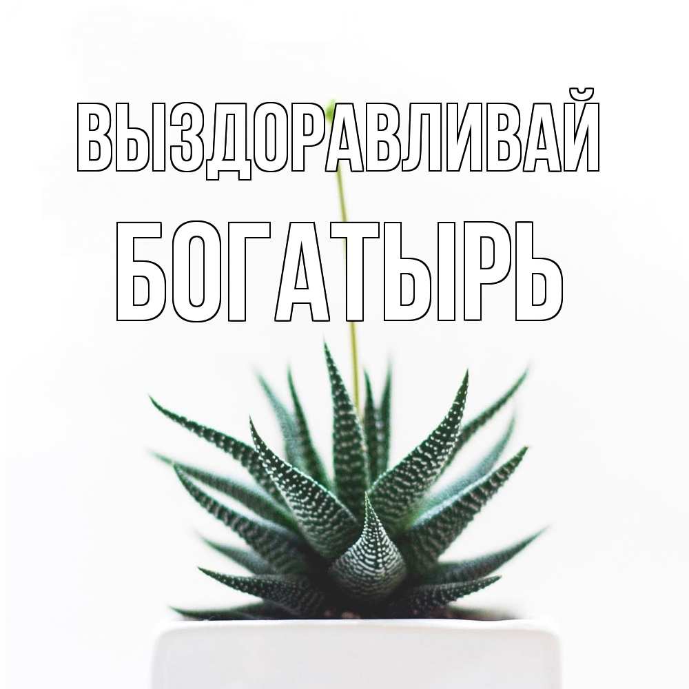 Открытка на каждый день с именем, Богатырь Выздоравливай короче это непонятная колючка Прикольная открытка с пожеланием онлайн скачать бесплатно 
