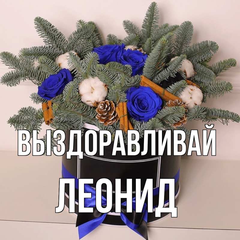Картинка Выздоравливай, Леонид