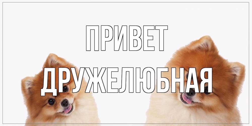 Открытка на каждый день с именем, Дружелюбная Привет привет Прикольная открытка с пожеланием онлайн скачать бесплатно 