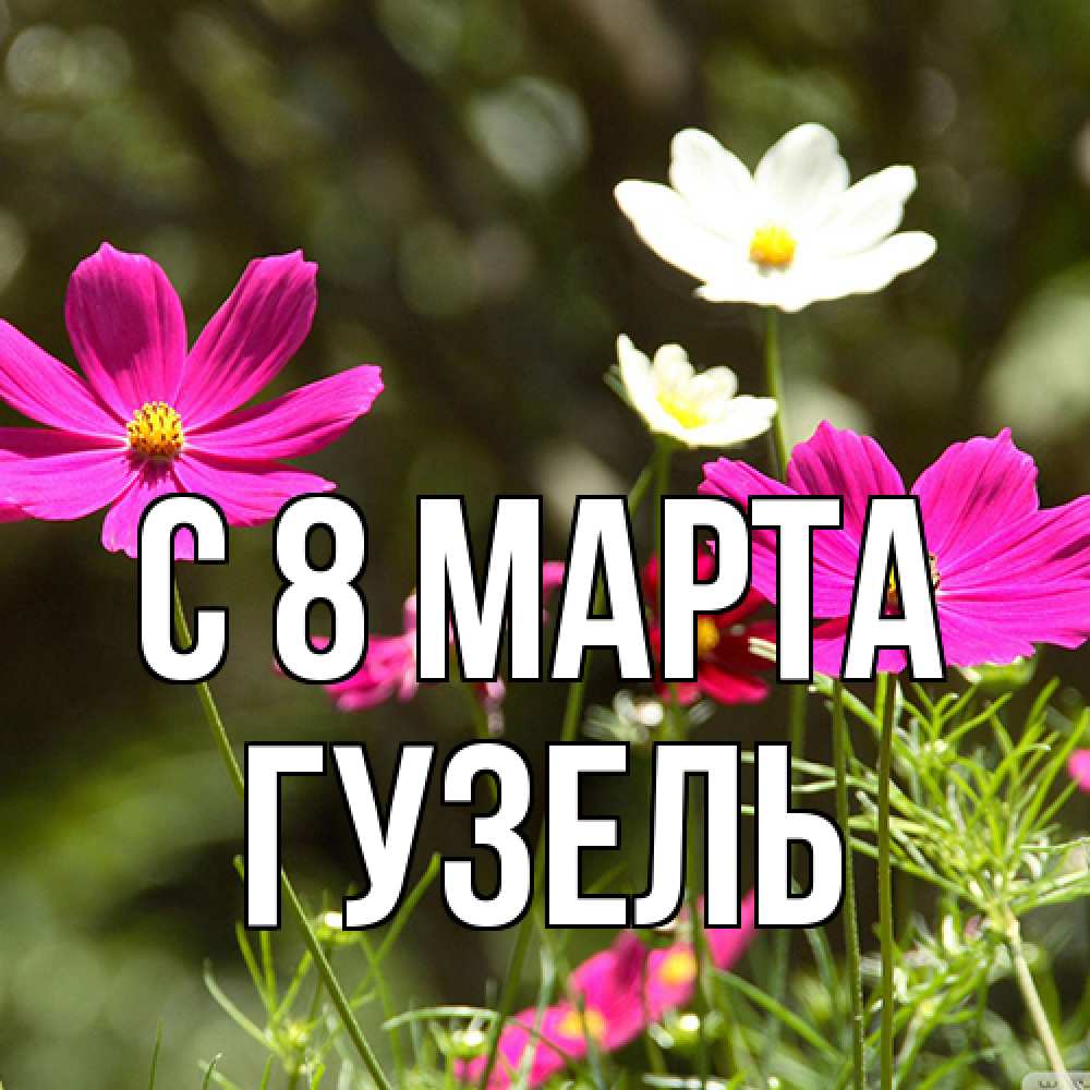 Открытка на каждый день с именем, Гузель C 8 МАРТА цветы Прикольная открытка с пожеланием онлайн скачать бесплатно 