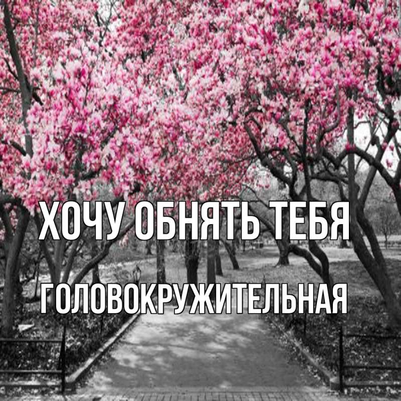 Картинка Хочу обнять тебя, Головокружительная