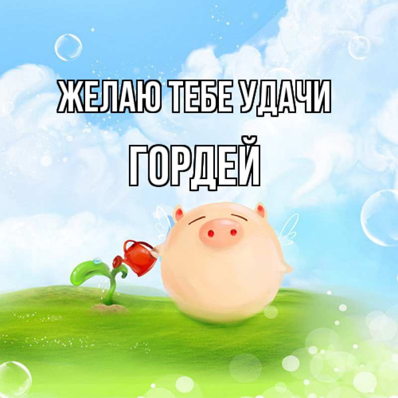 Картинка Желаю тебе удачи, Гордей