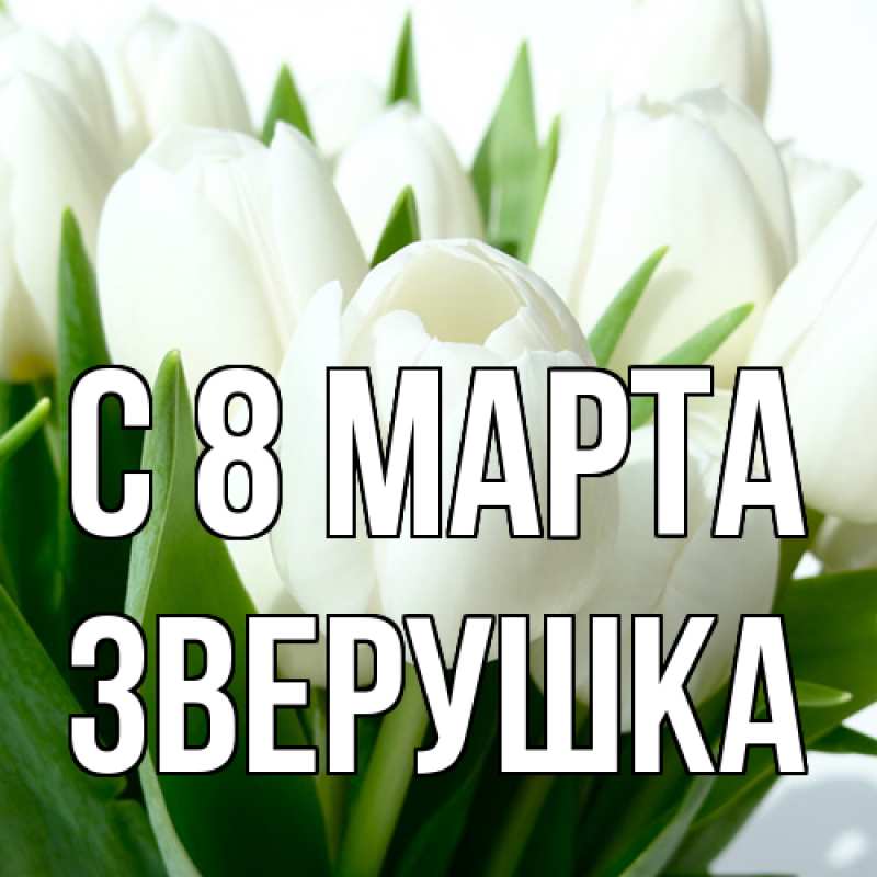 Картинка C 8 МАРТА, Зверушка