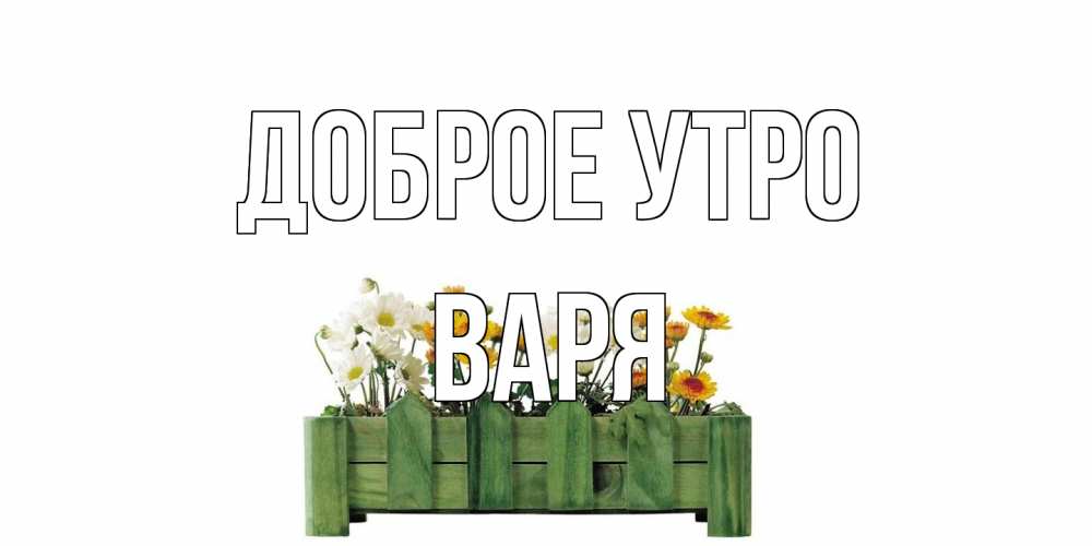Открытка на каждый день с именем, Варя Доброе утро цветы Прикольная открытка с пожеланием онлайн скачать бесплатно 