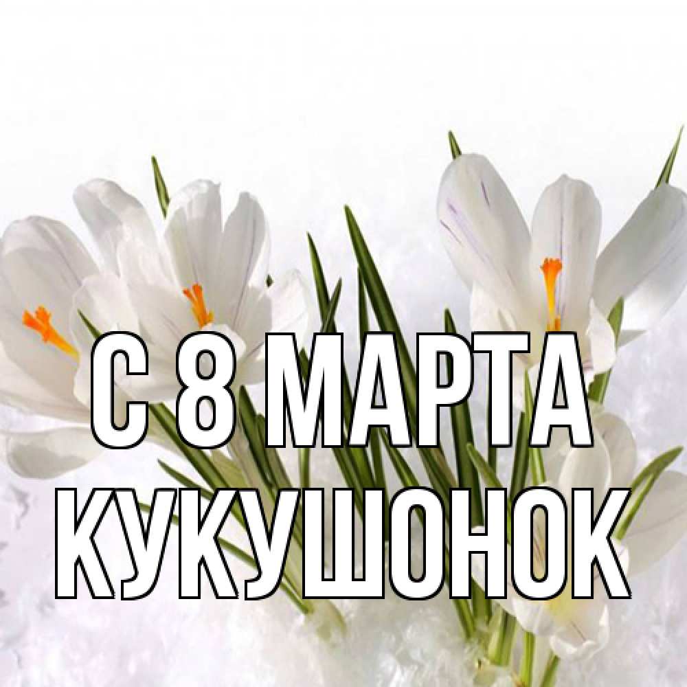 Открытка на каждый день с именем, кукушонок C 8 МАРТА под снегом Прикольная открытка с пожеланием онлайн скачать бесплатно 