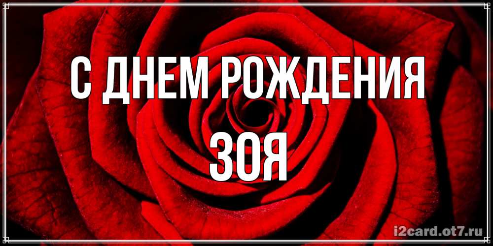 Открытка на каждый день с именем, Зоя С днем рождения алая роза Прикольная открытка с пожеланием онлайн скачать бесплатно 