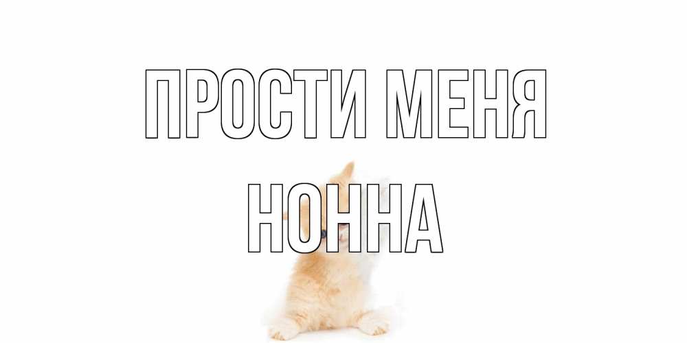 Открытка на каждый день с именем, Нонна Прости меня кот Прикольная открытка с пожеланием онлайн скачать бесплатно 